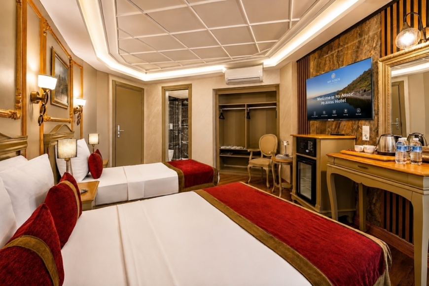 Standard Triple Room